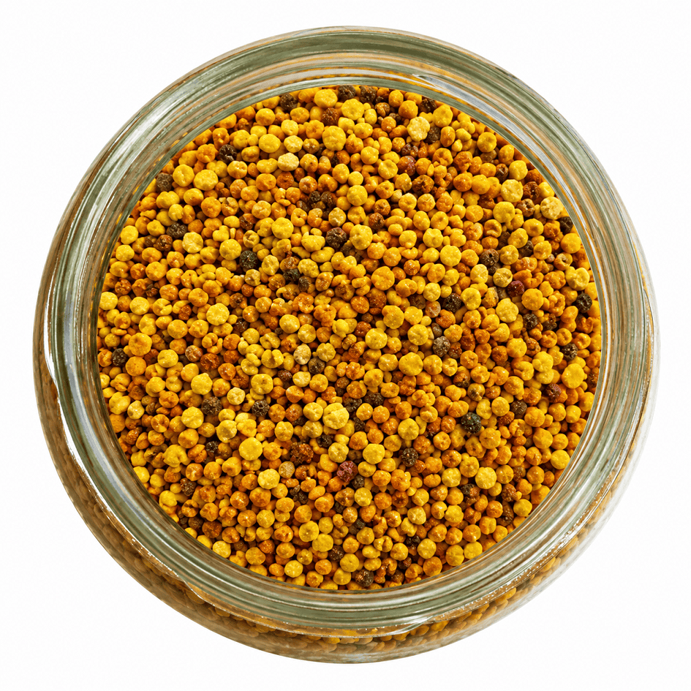 Polen 100 GR